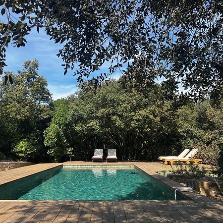 La Canopee Private Ecolodges Nîmes Kültér fotó