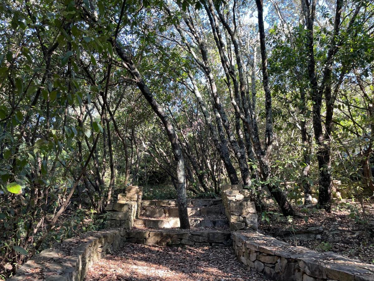 La Canopee Private Ecolodges Nîmes Kültér fotó