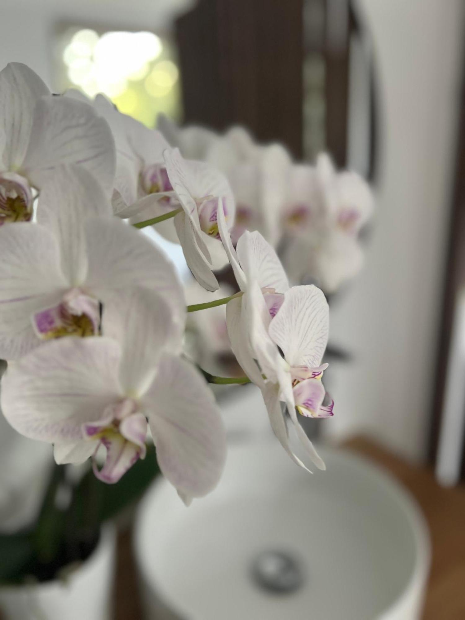 La Canopee Private Ecolodges Nîmes Kültér fotó